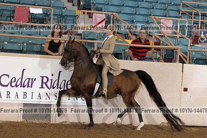 Proof 10yn-14479