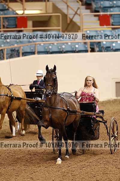 Proof 10yn-07970