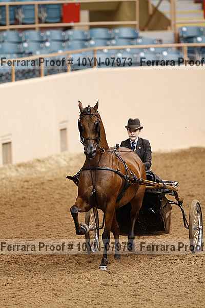 Proof 10yn-07973