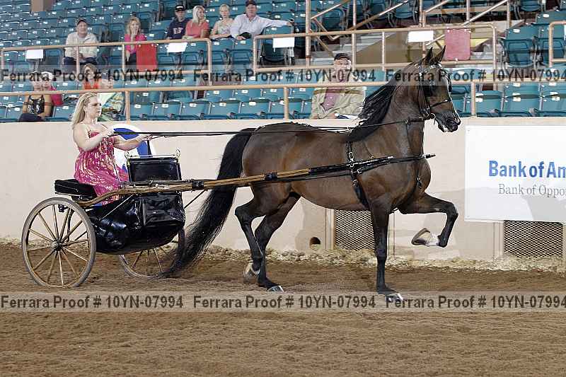 Proof 10yn-07994