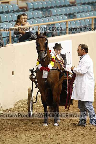 Proof 10yn-08003