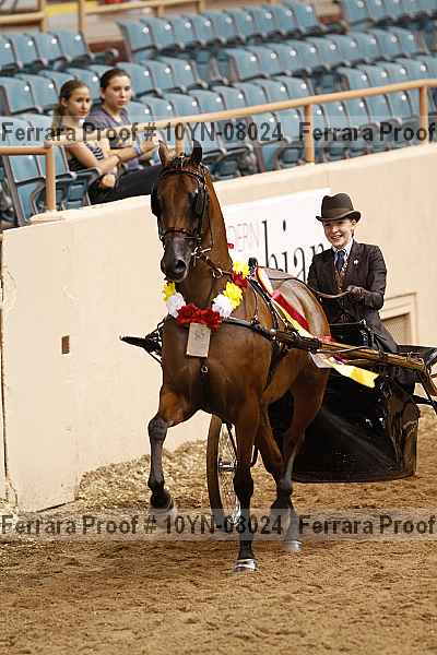 Proof 10yn-08024