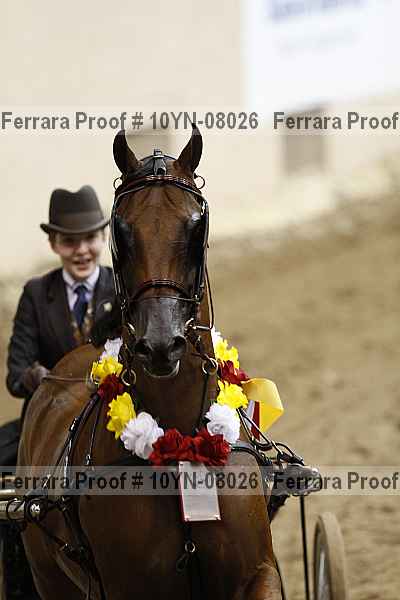 Proof 10yn-08026