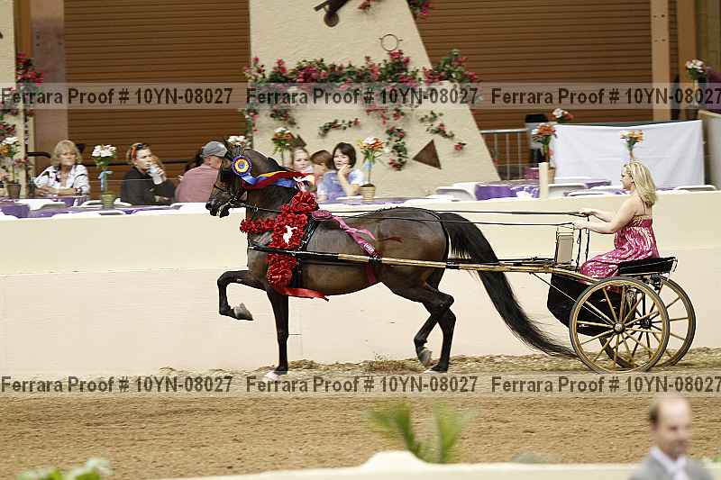 Proof 10yn-08027