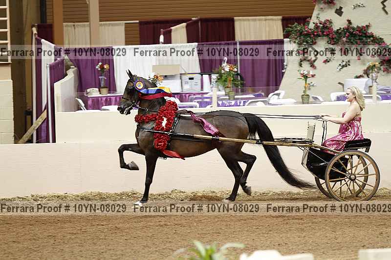 Proof 10yn-08029