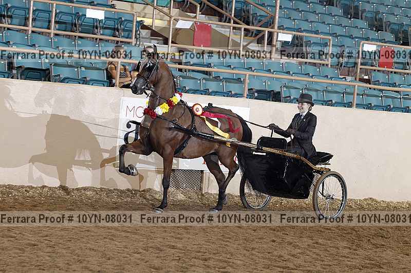 Proof 10yn-08031