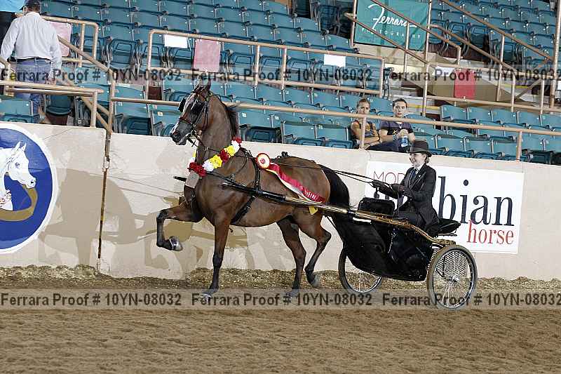 Proof 10yn-08032