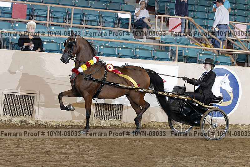 Proof 10yn-08033