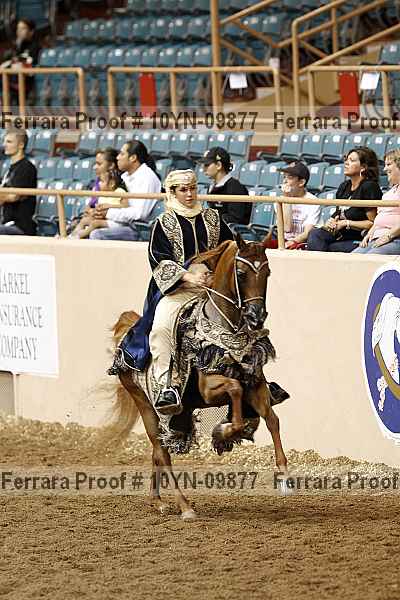 Proof 10yn-09877