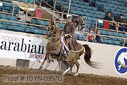 10yn-09970 proof