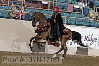 10yn-17181 proof