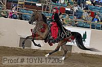 10yn-17208 proof