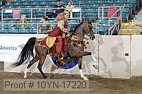 10yn-17220 proof