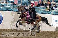 10yn-17302 proof