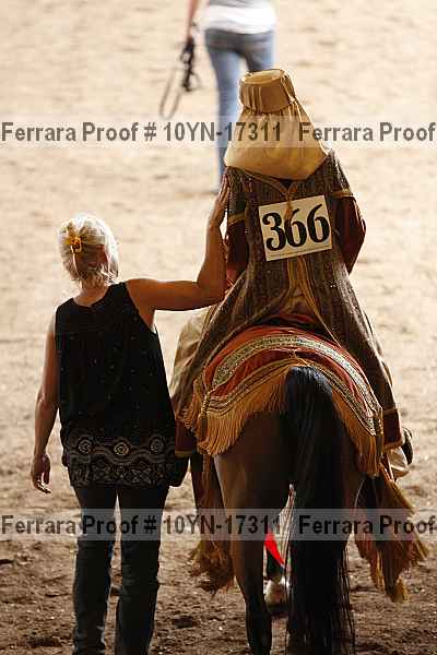 Proof 10yn-17311
