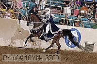 10yn-13709 proof