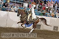 10yn-13712 proof