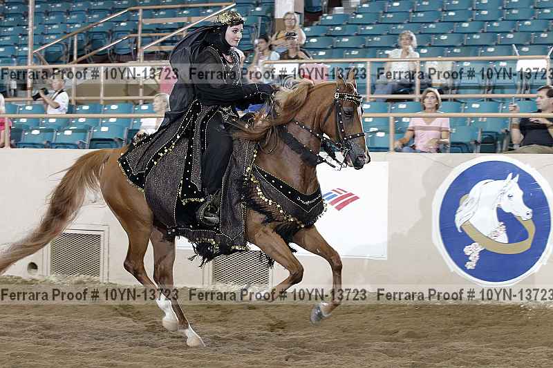 Proof 10yn-13723