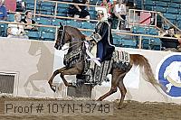 10yn-13748 proof