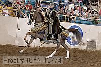 10yn-13774 proof