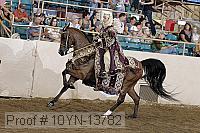 10yn-13782 proof