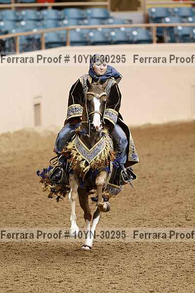 Proof 10yn-30295