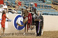 10yn-30360 proof