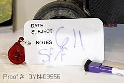 10yn-09556 proof
