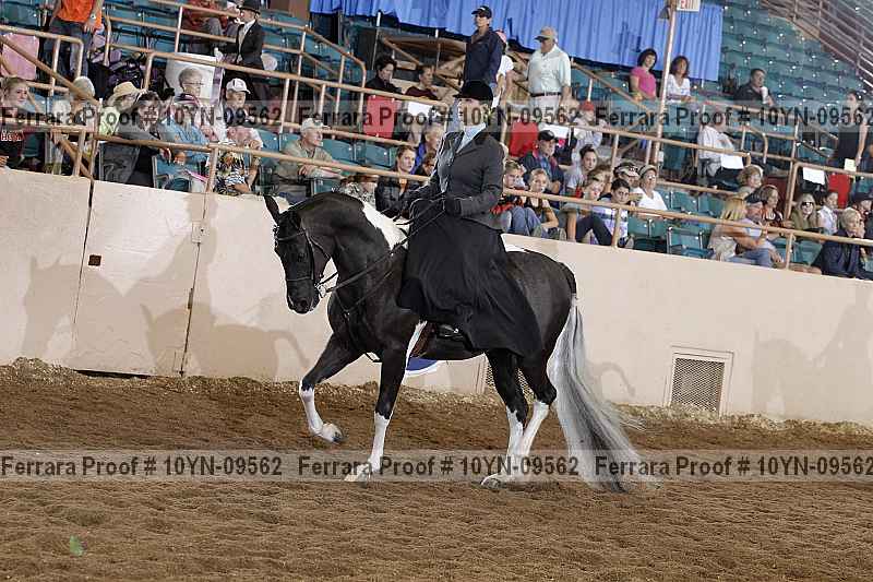 Proof 10yn-09562