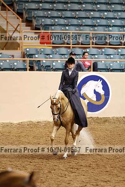 Proof 10yn-09567
