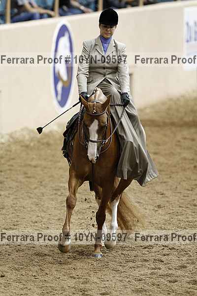 Proof 10yn-09597