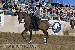 10yn-09603 proof