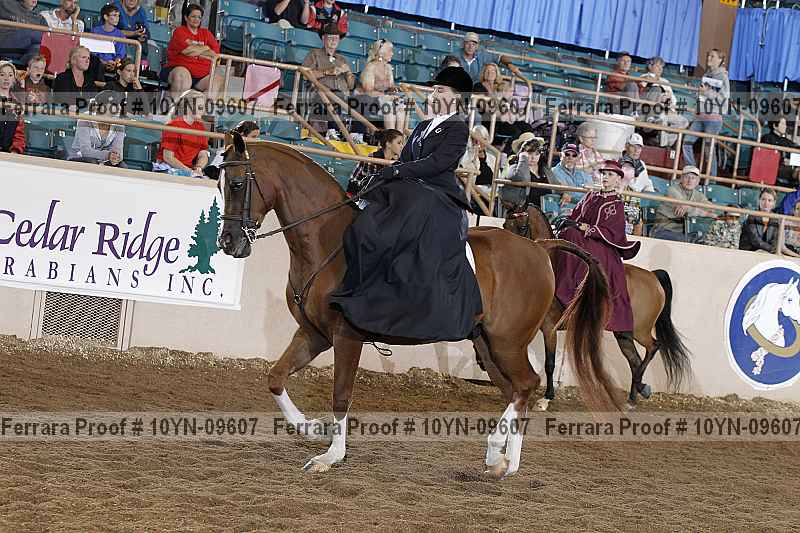 Proof 10yn-09607