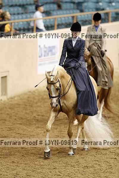 Proof 10yn-09613
