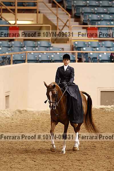 Proof 10yn-09631