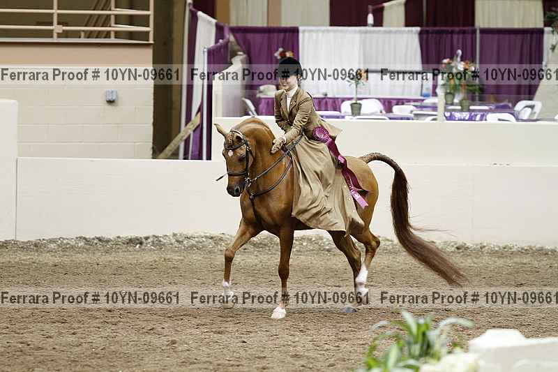 Proof 10yn-09661