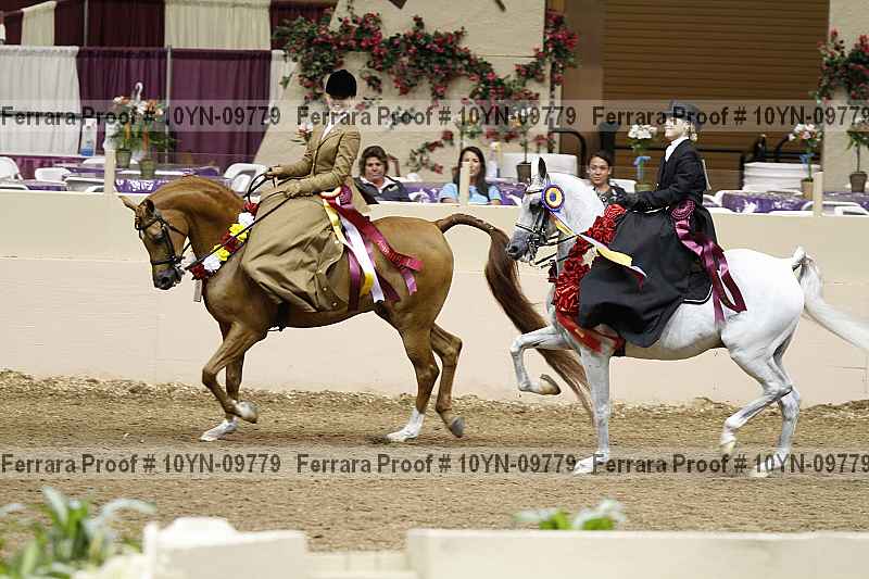 Proof 10yn-09779