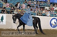 10yn-13061 proof
