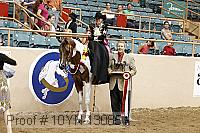 10yn-13085 proof
