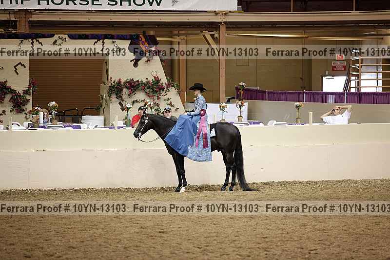 Proof 10yn-13103