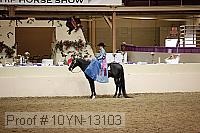10yn-13103 proof