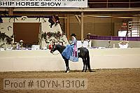10yn-13104 proof