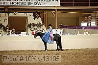10yn-13105 proof