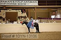 10yn-13106 proof