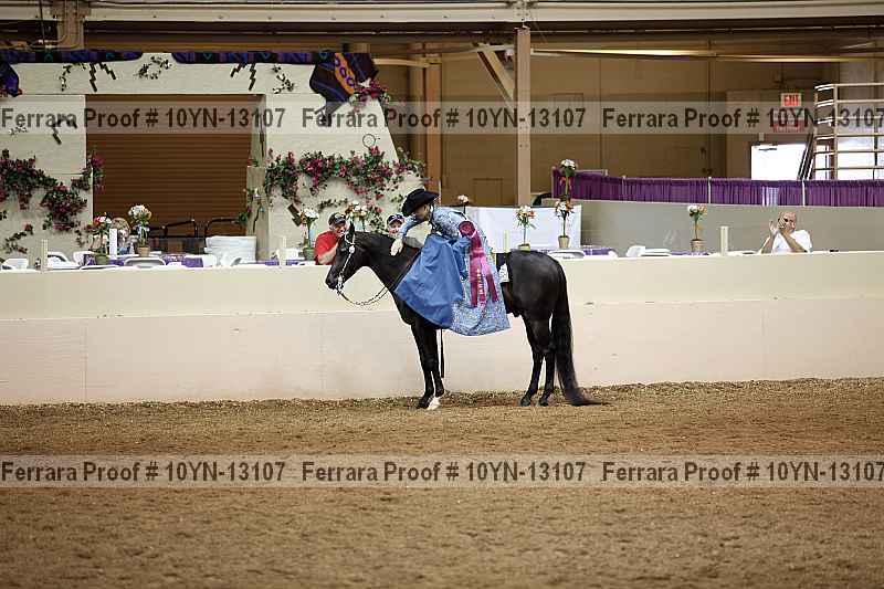 Proof 10yn-13107