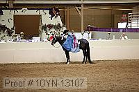 10yn-13107 proof