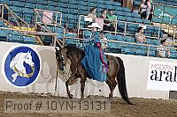 10yn-13131 proof