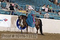 10yn-13132 proof