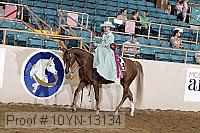 10yn-13134 proof