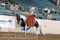 10yn-13141 proof
